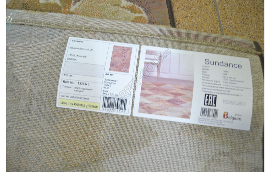 Синтетический ковер Ragolle Sundance 79145 4848